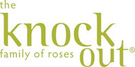 The Knock Out® Family of Roses